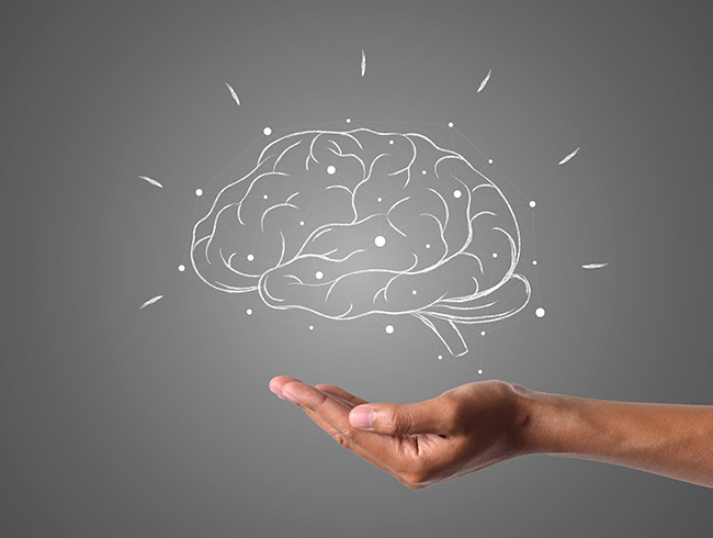 106-post-imagen_neuroeducacion