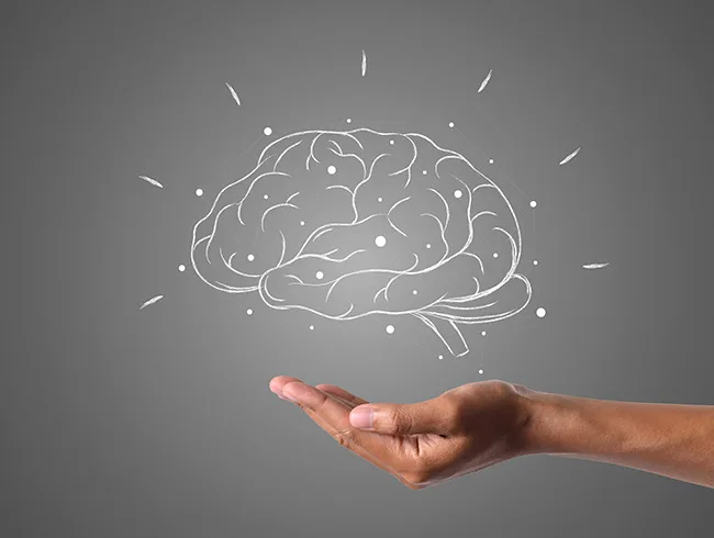 106-post-imagen_neuroeducacion