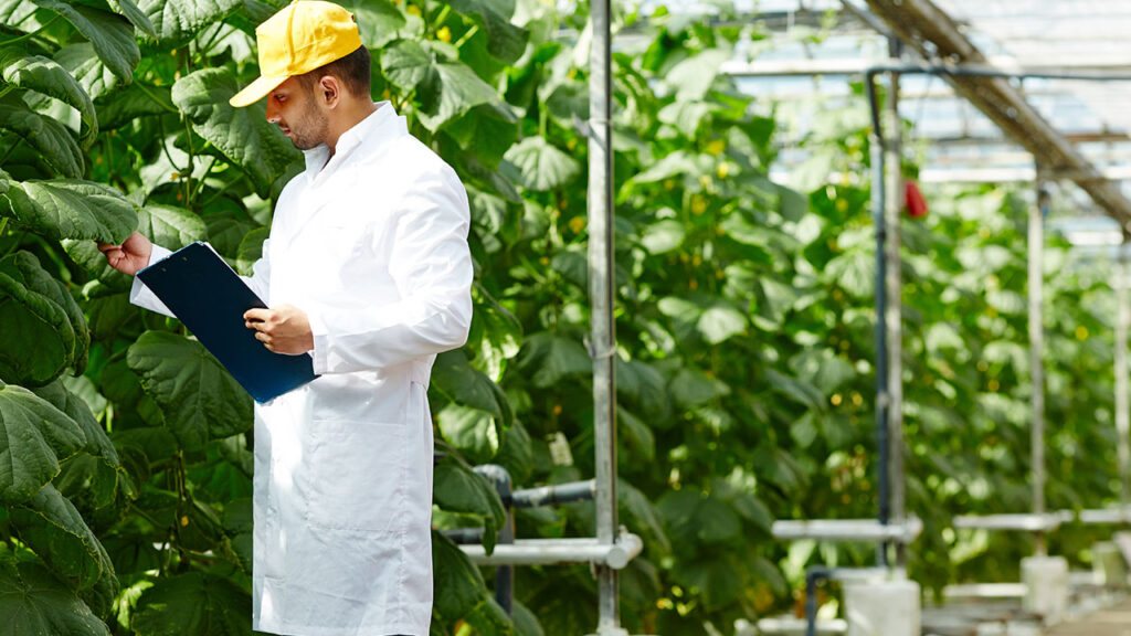 cursos online gratis gerencias empresas agropecuarias