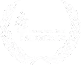 logo liga de taekwondo