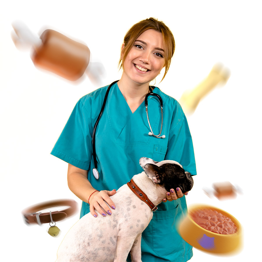 estudia auxiliar veterinario dando bienestar animal