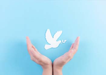 aprende educación cursos online gratis pedagogía para la paz