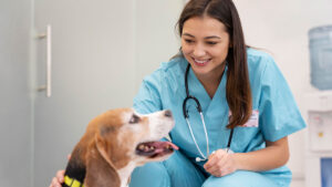 Qué hace un auxiliar veterinario