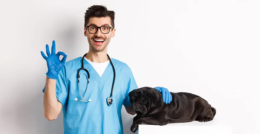Encuentra el regalo perfecto para un veterinario