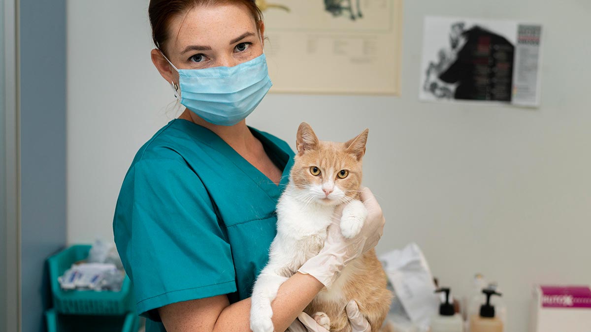 Auxiliar de veterinaria estudiar