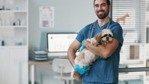 carrera de asistente veterinario