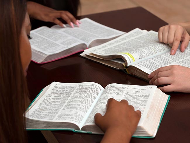 Diplomados virtuales gratis Bases Bíblicas de la Enseñanza de la Religión Católica