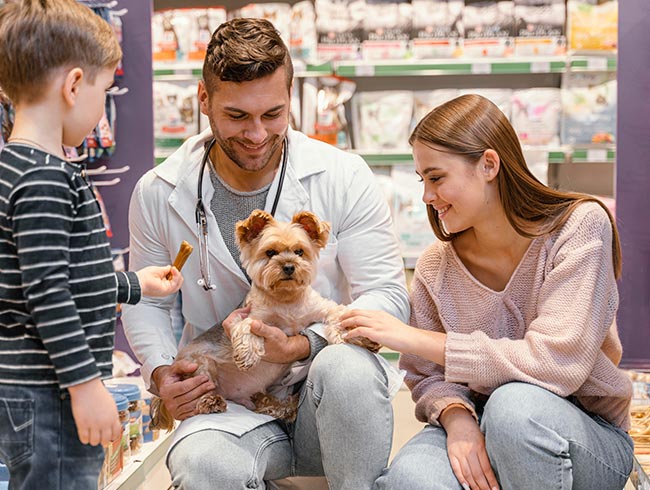 Diplomados virtuales gratis Administración de Tiendas para Mascotas