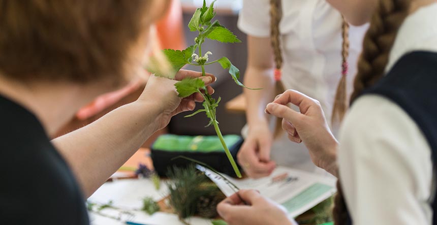 Cursos ambientales online