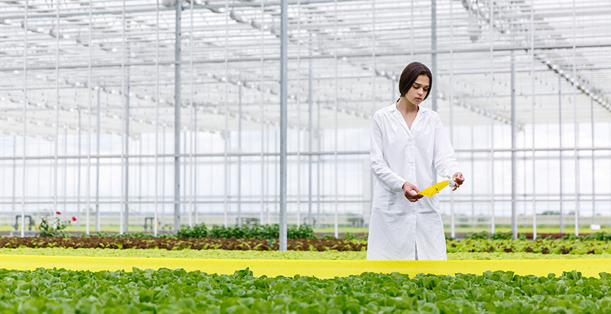 Administración Agro agroindustria en Oriente