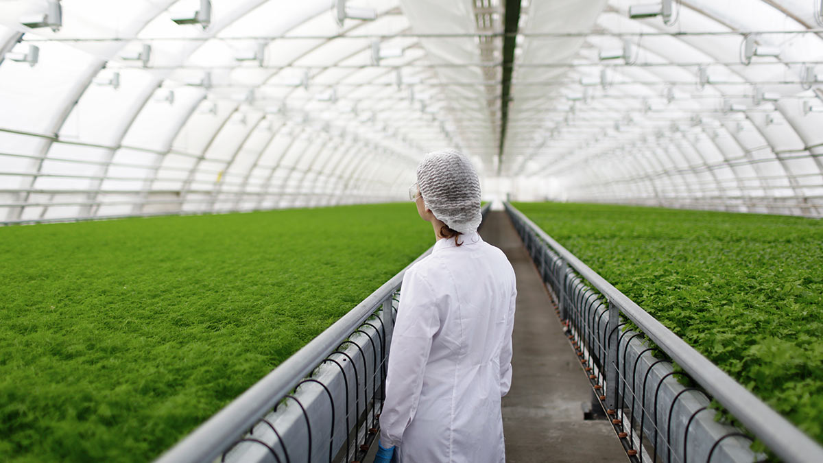 Administración Agro agroindustria en Oriente