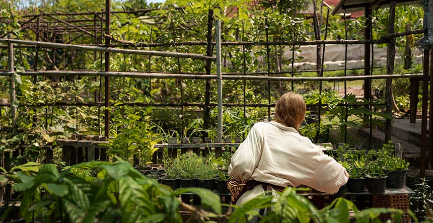 Agricultura Urbana Huertas Urbanas