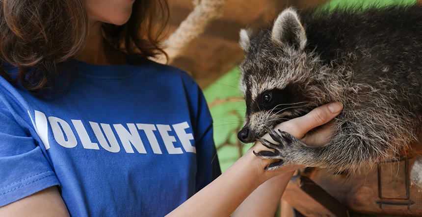Proyección Social Voluntariado animales