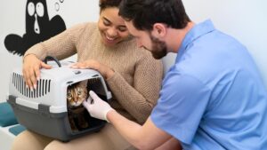 prótesis veterinarias, una Innovación Veterinaria