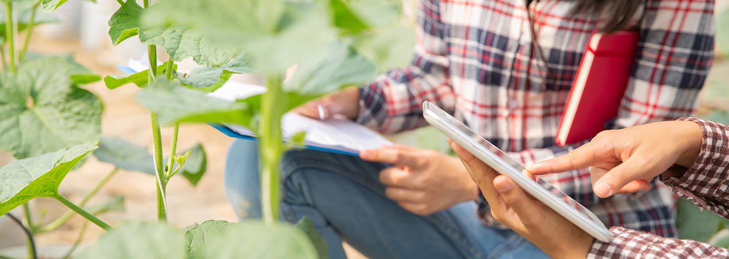 Cursos y diplomados virtuales gratis Agricultura de precisión y agritech