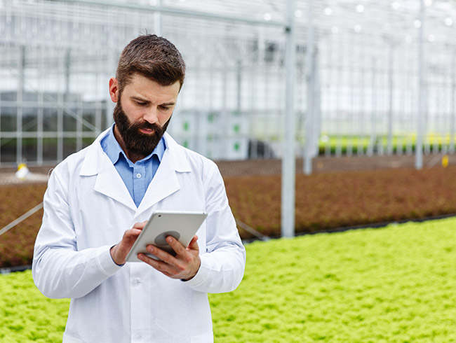 Diplomados virtuales gratis Agricultura de precisión y agritech