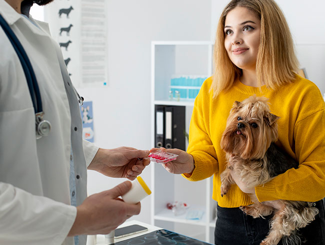 Diplomados virtuales gratis Gestión de negocios veterinarios y emprendimiento pet