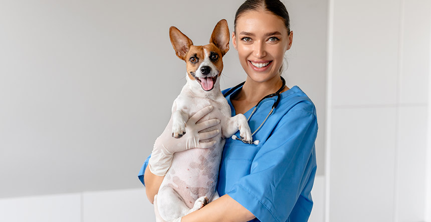 Auxiliar Veterinario en Colombia: Salario Real