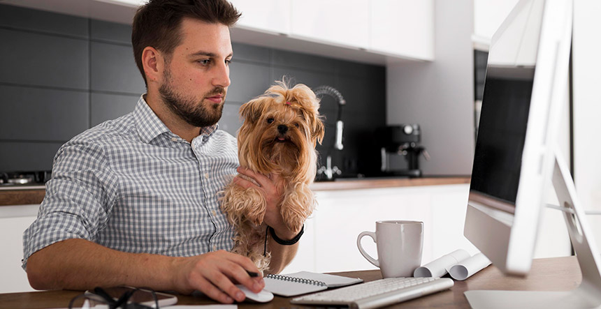 Estudia Auxiliar Veterinario Virtual: Programa Completo y Prácticas