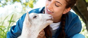Cursos y diplomados virtuales gratis Bienestar Animal y Legislación Colombiana
