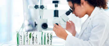 Cursos y diplomados virtuales gratis Bioética Aplicada