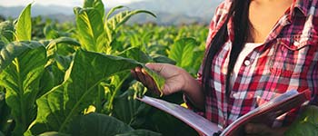 Cursos y diplomados virtuales gratis Certificación Orgánica y Buenas Prácticas Agrícolas (BPA)