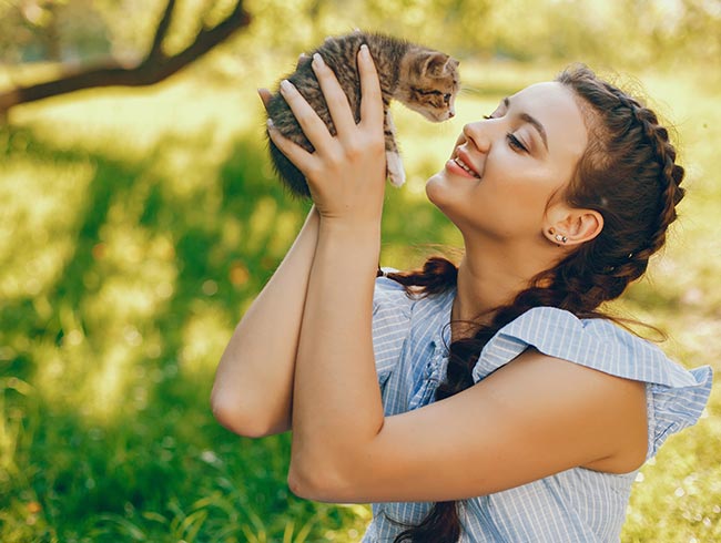 Diplomados virtuales gratis Bienestar Animal y Legislación Colombiana