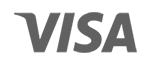 logo visa