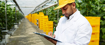 Cursos y diplomados virtuales gratis Gestión Agroindustrial y Cadenas Productivas