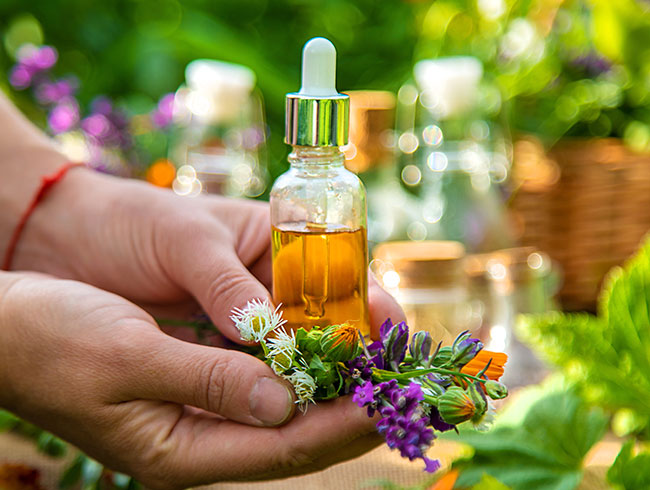 Diplomados virtuales gratis Fitoterapia Avanzada y Regulación de Productos Naturales