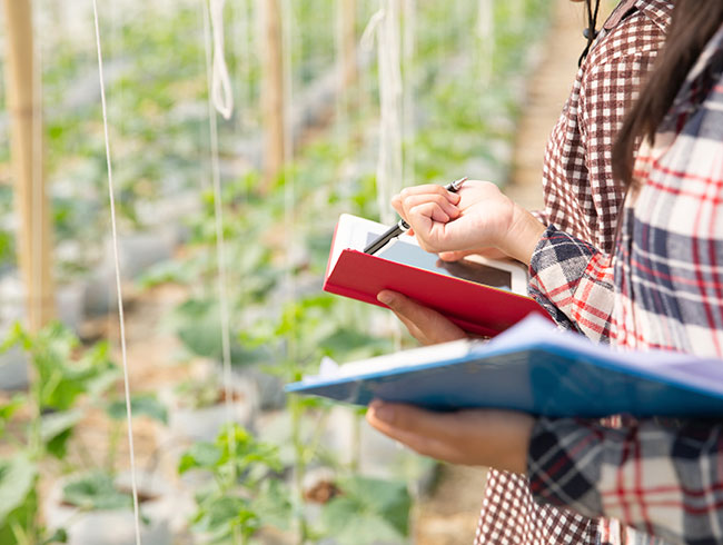 Diplomados virtuales gratis Gestión Agroindustrial y Cadenas Productivas
